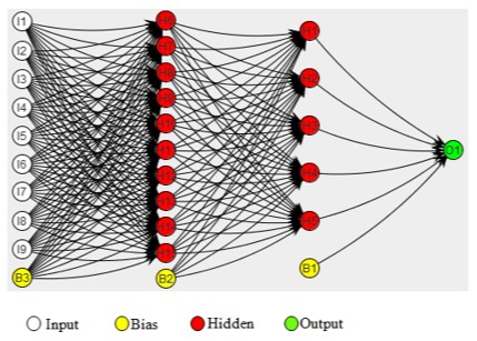 Network Structure of ANN